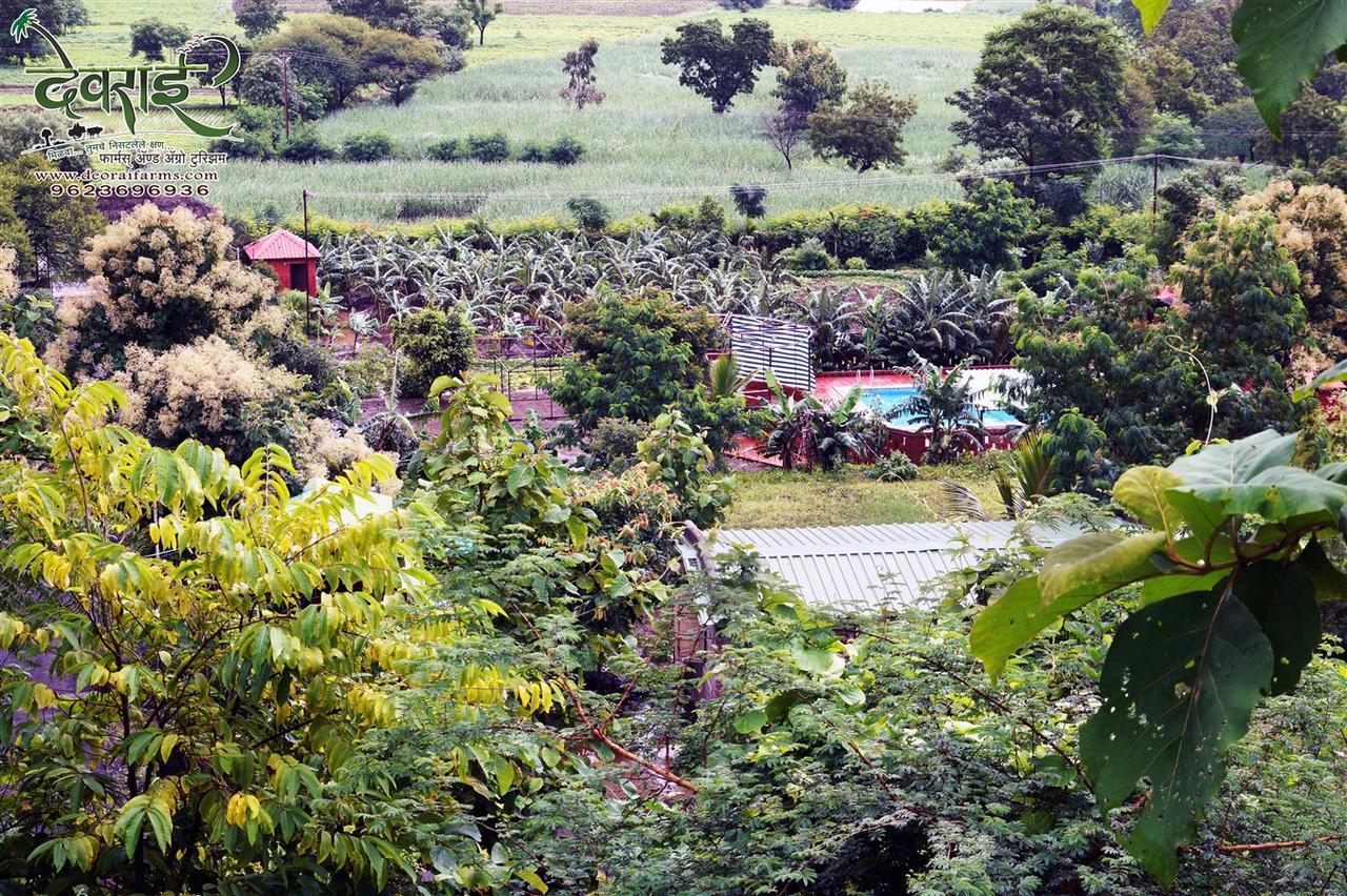 Deorai Farms And Agro Resort Poona Buitenkant foto